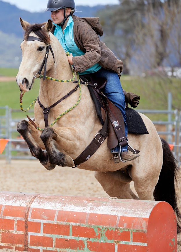 Amelia Clegg at the Mountain Cattlemen's event