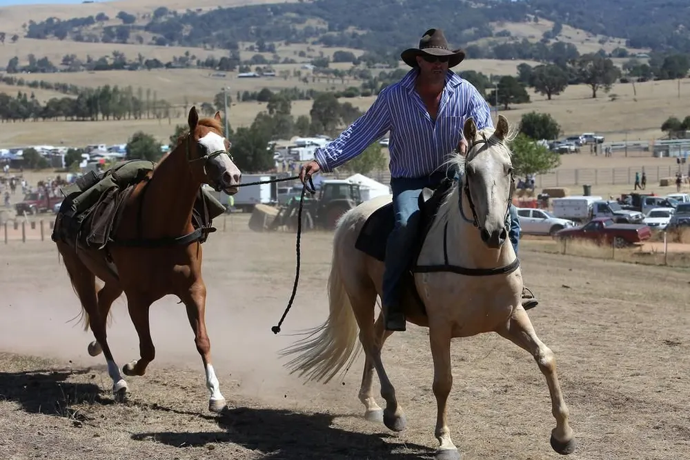 Packhorse Events